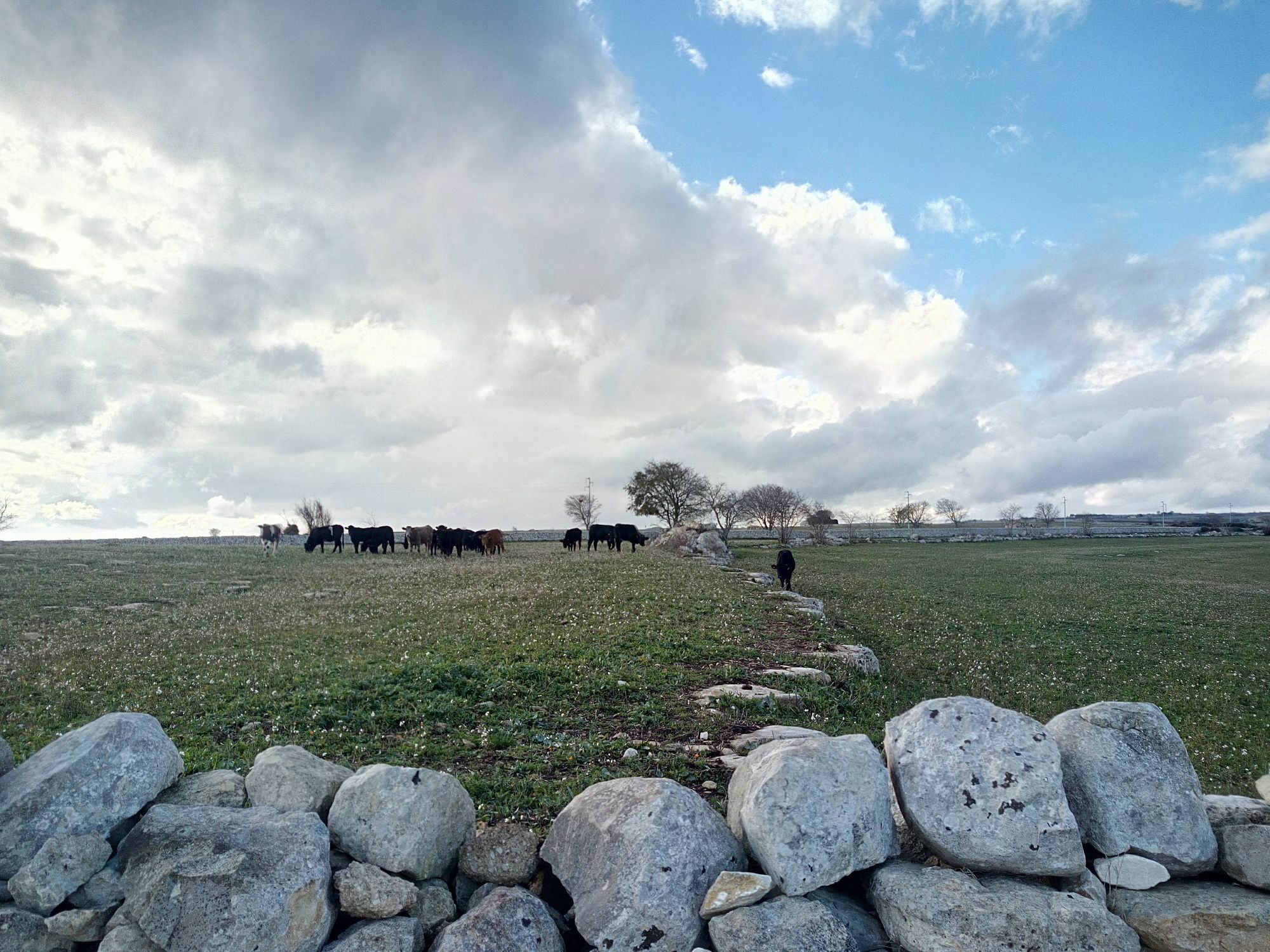 Caposud - Appartamento Sottovento Marina di Ragusa Luaran gambar